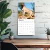 image Mastiffs 2026 Wall Calendar Fourth Alternate Image