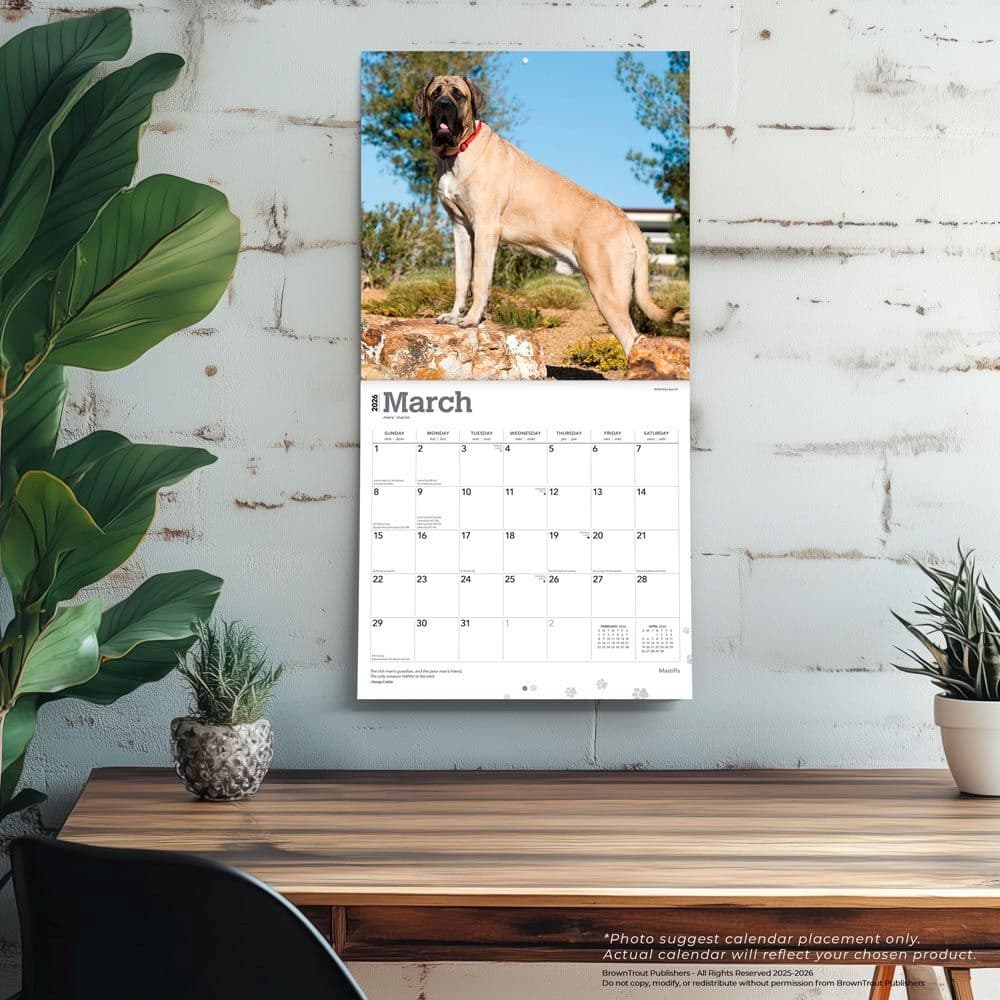 Mastiffs 2026 Wall Calendar Fourth Alternate Image