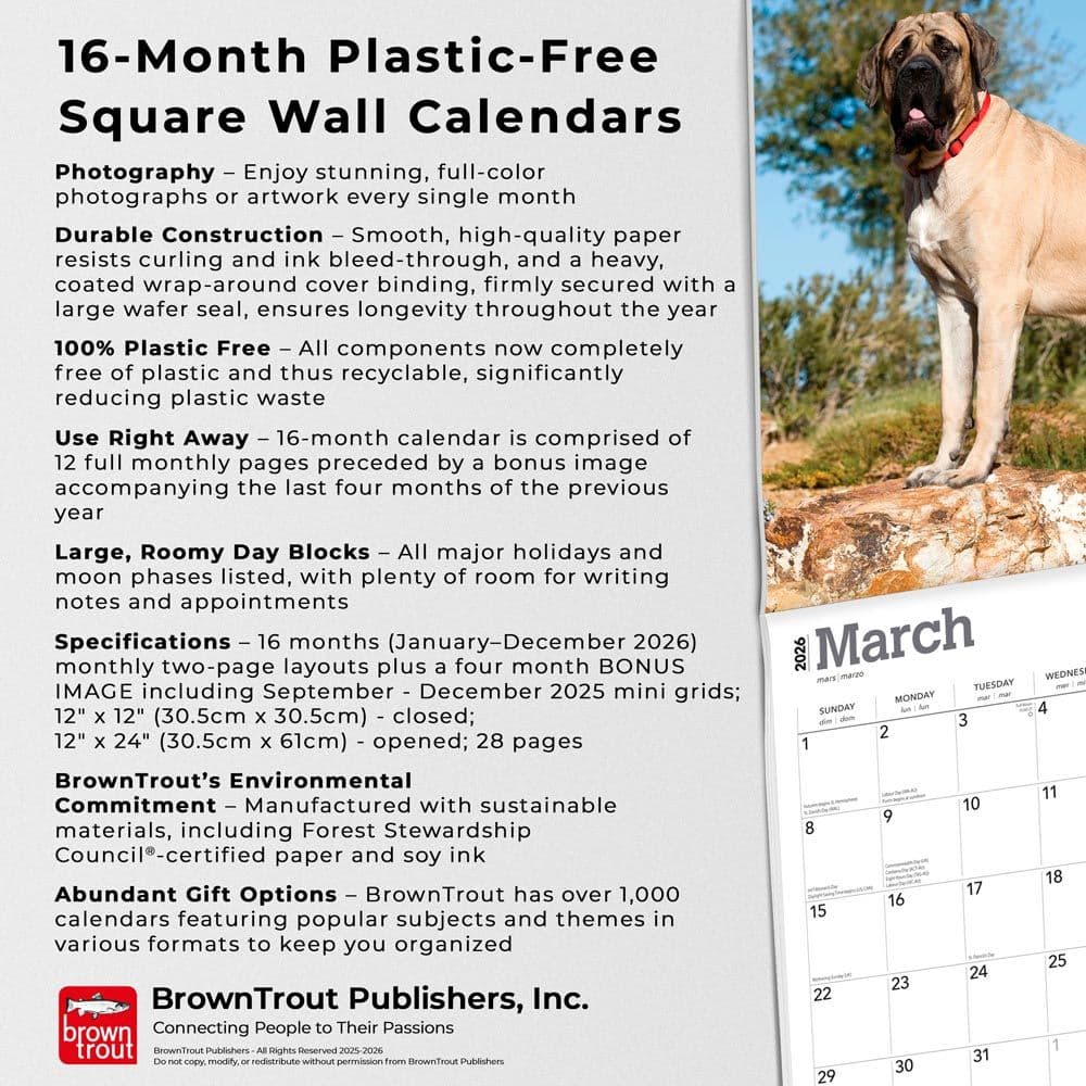 Mastiffs 2026 Wall Calendar Fifth Alternate Image