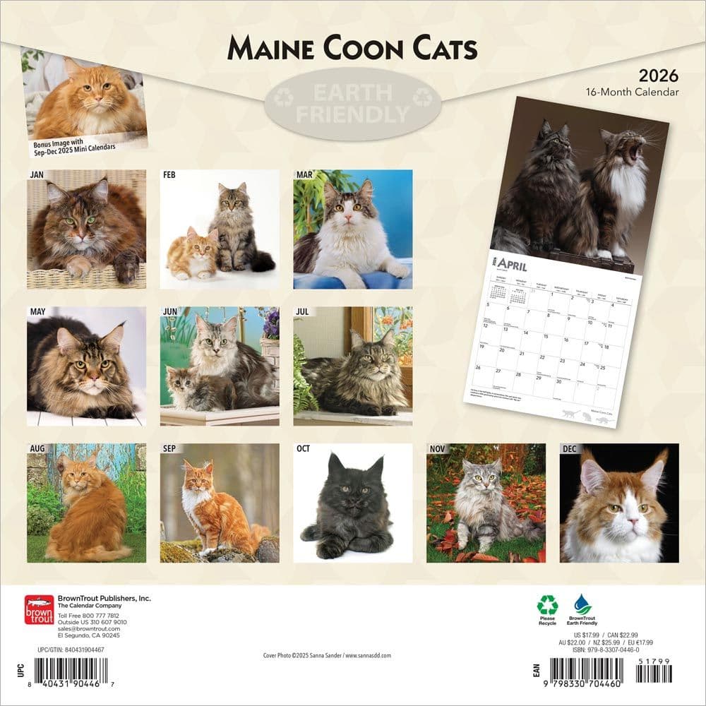 Cats Maine Coon 2026 Wall Calendar First Alternate Image