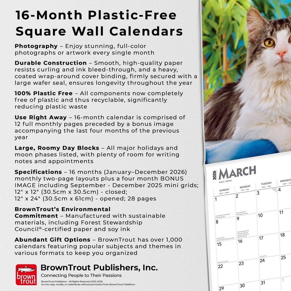 Cats Maine Coon 2026 Wall Calendar Fifth Alternate Image