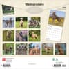 image Weimaraners 2026 Wall Calendar  First Alternate Image