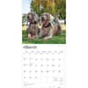image Weimaraners 2026 Wall Calendar  Second Alternate Image
