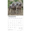 image Weimaraners 2026 Wall Calendar  Third Alternate Image