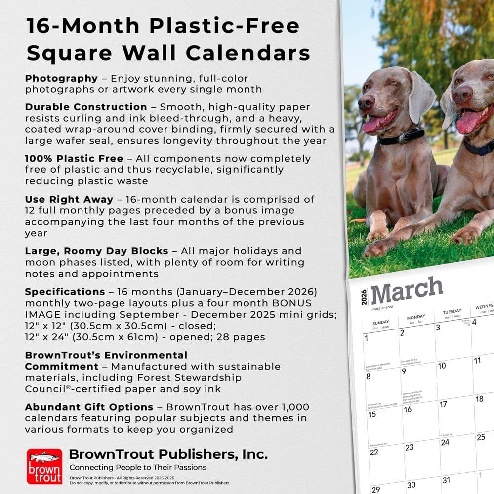 Weimaraners 2026 Wall Calendar  Fifth Alternate Image