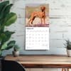 image Vizslas 2026 Wall Calendar  Fourth Alternate Image