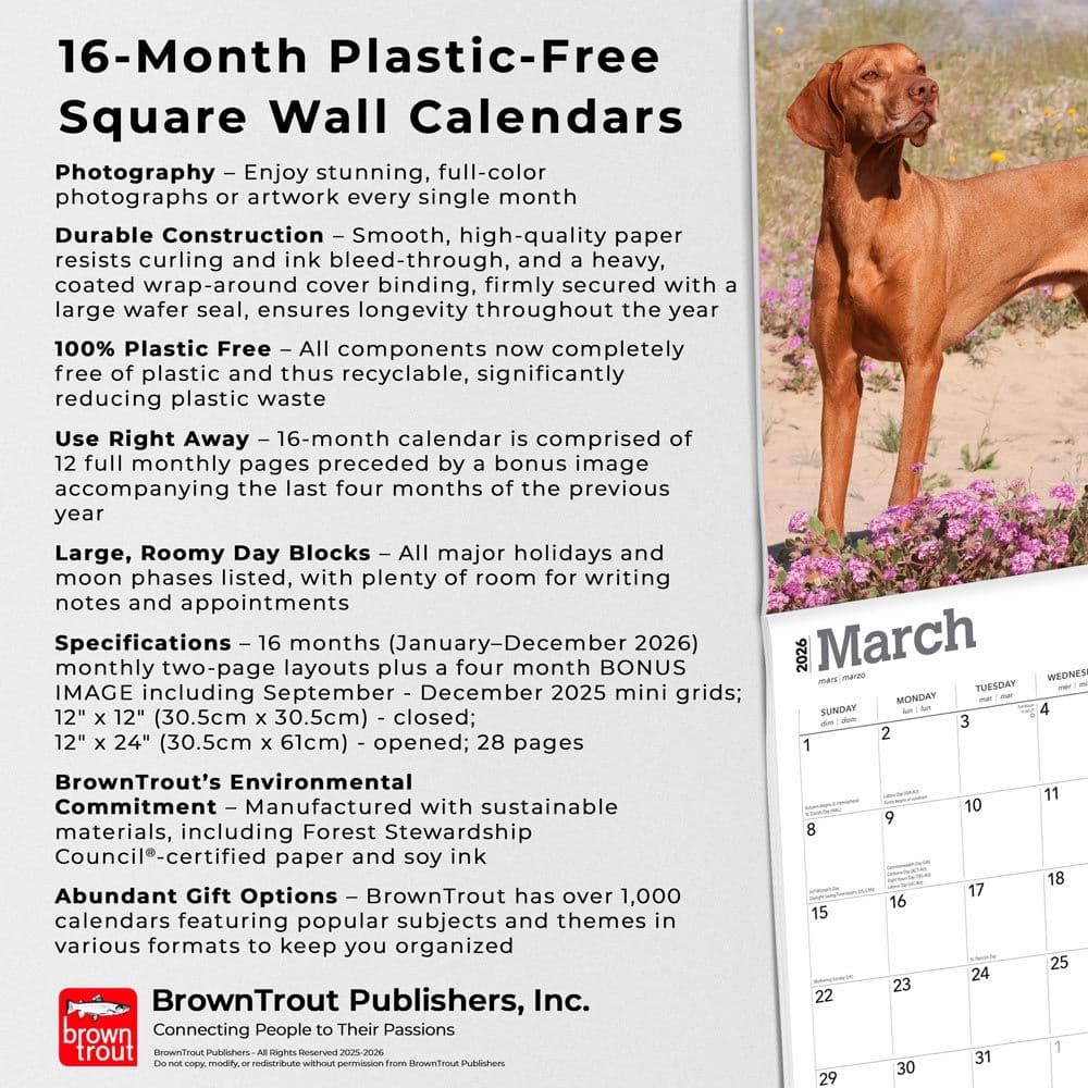 Vizslas 2026 Wall Calendar  Fifth Alternate Image
