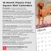 image Vizslas 2026 Wall Calendar  Fifth Alternate Image