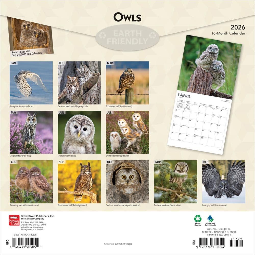 Owls 2026 Wall Calendar  First Alternate Image