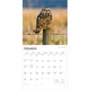 image Owls 2026 Wall Calendar  Second Alternate Image