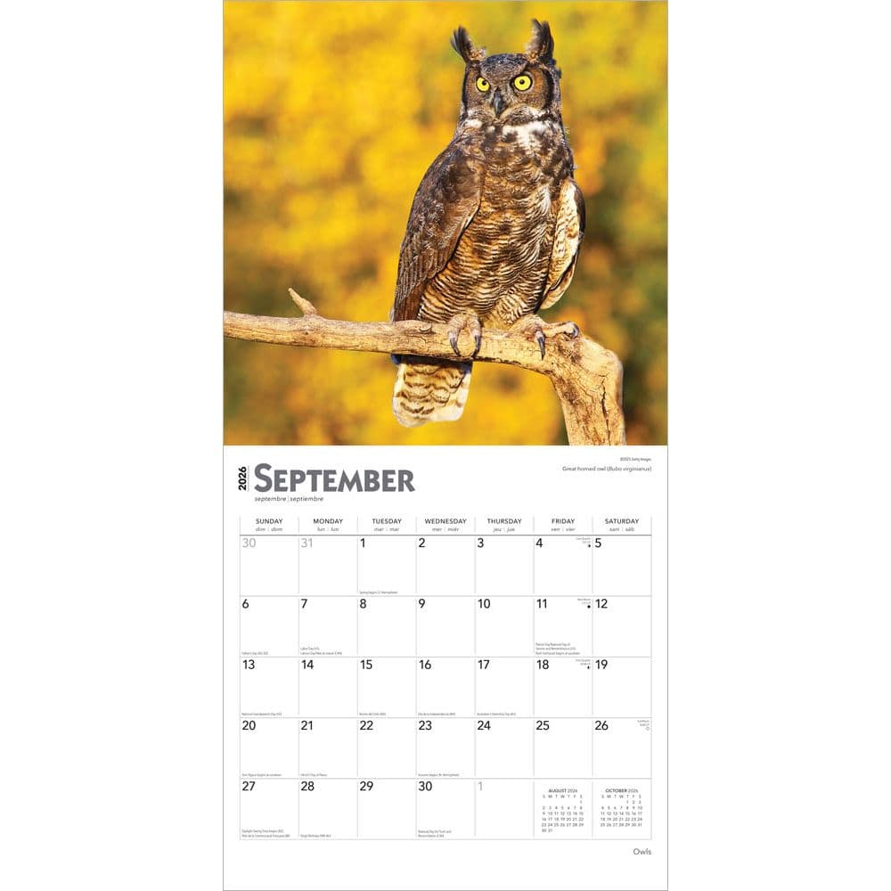 Owls 2026 Wall Calendar  Third Alternate Image