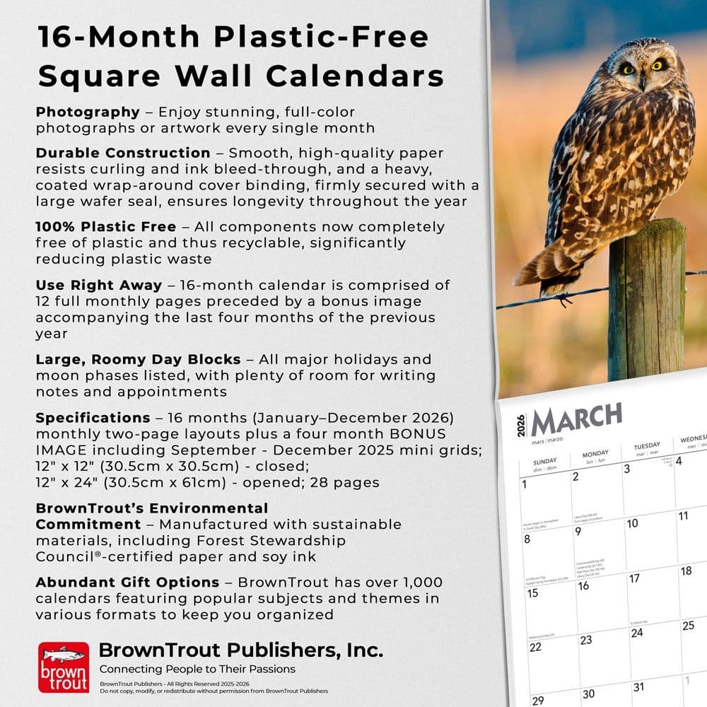 Owls 2026 Wall Calendar  Fifth Alternate Image