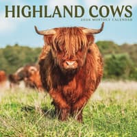 image Highland Cows 2026 Wall Calendar  Main Product Image