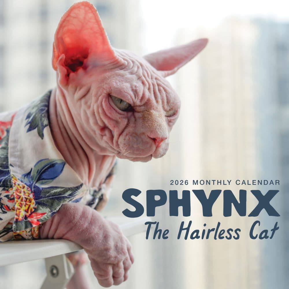 Sphynx Cats 2026 Wall Calendar Main Product Image