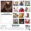 image Sphynx Cats 2026 Wall Calendar First Alternate Image