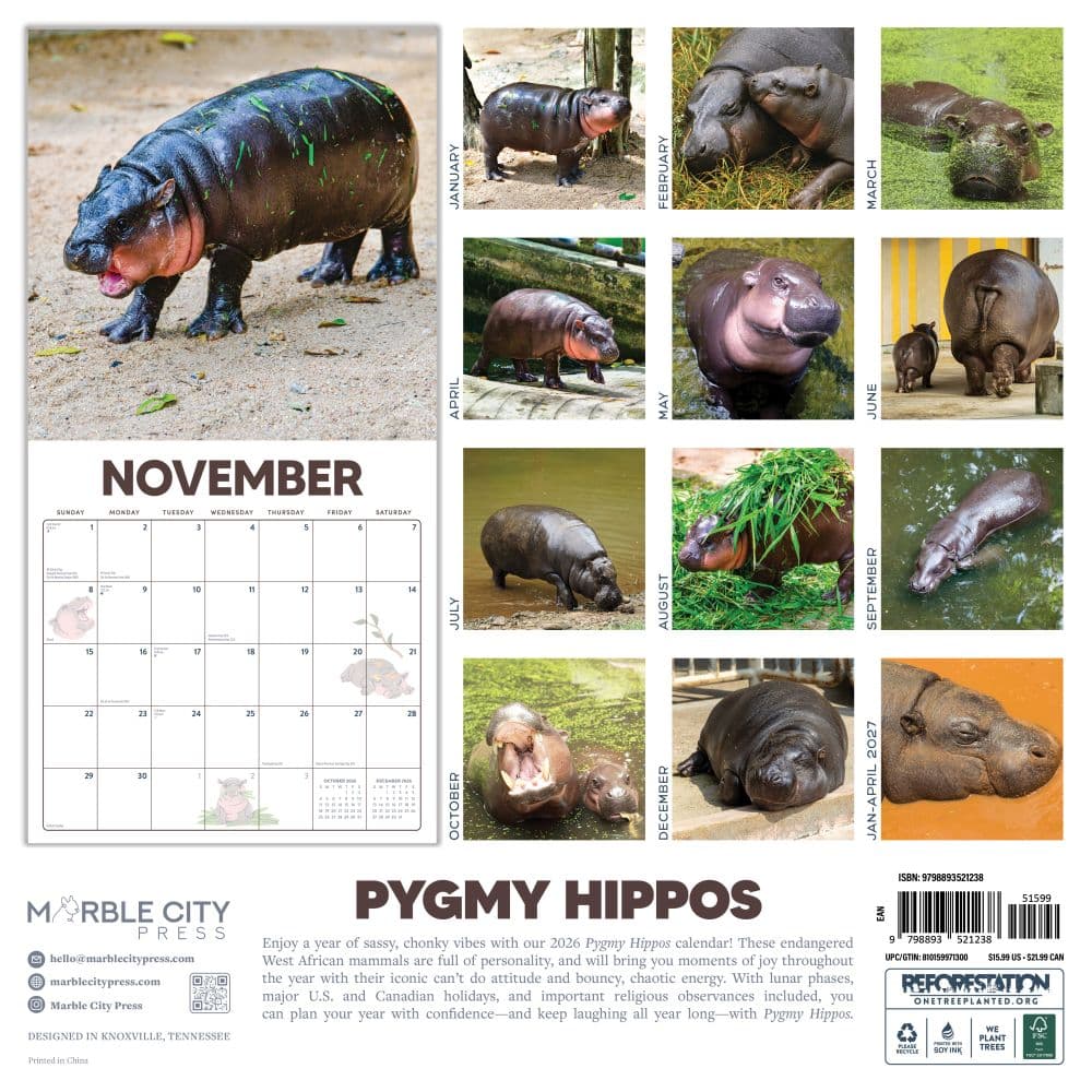 Pygmy Hippos 2026 Wall Calendar First Alternate Image