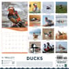 image Ducks 2026 Wall Calendar First Alternate Image