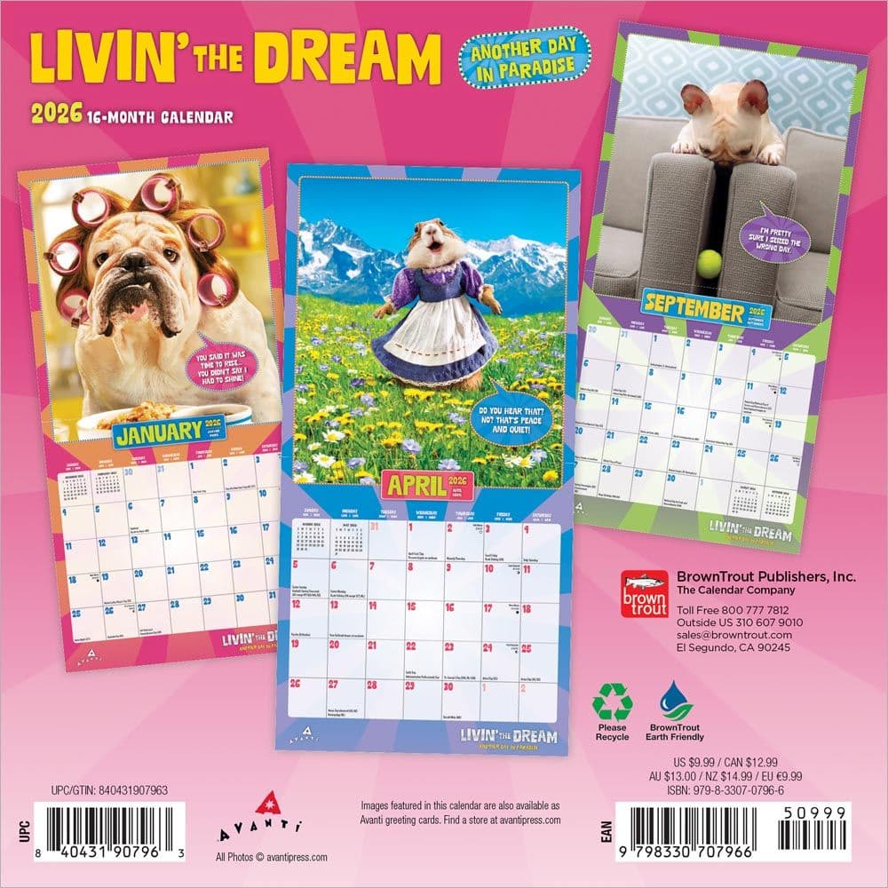 Avanti Livin the Dream 2026 Mini Wall Calendar First Alternate Image
