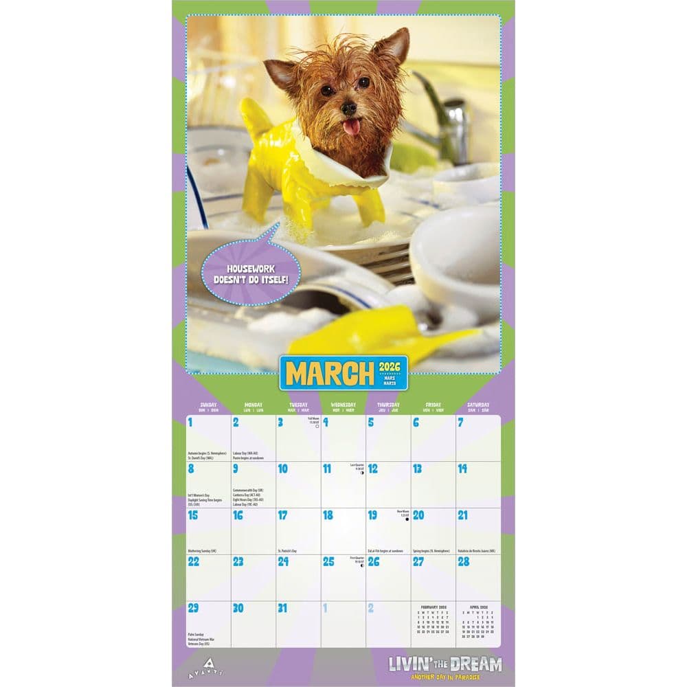 Avanti Livin the Dream 2026 Mini Wall Calendar Second Alternate Image