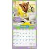 image Avanti Livin the Dream 2026 Mini Wall Calendar Second Alternate Image