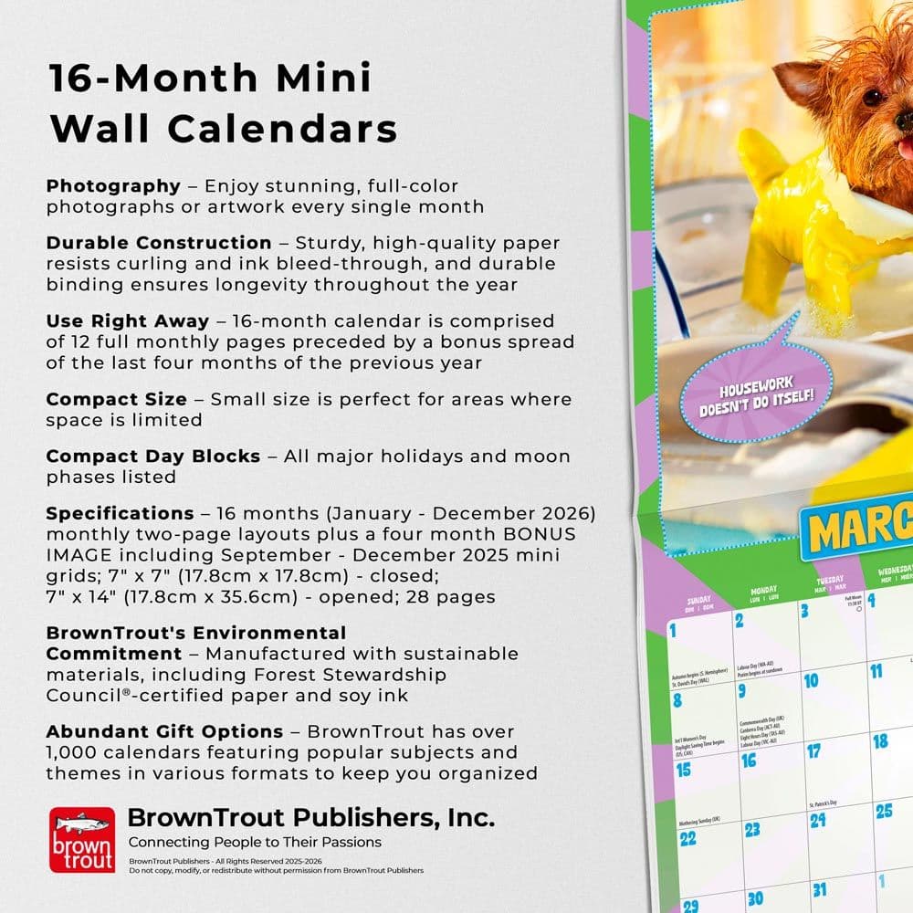 Avanti Livin the Dream 2026 Mini Wall Calendar Fifth Alternate Image