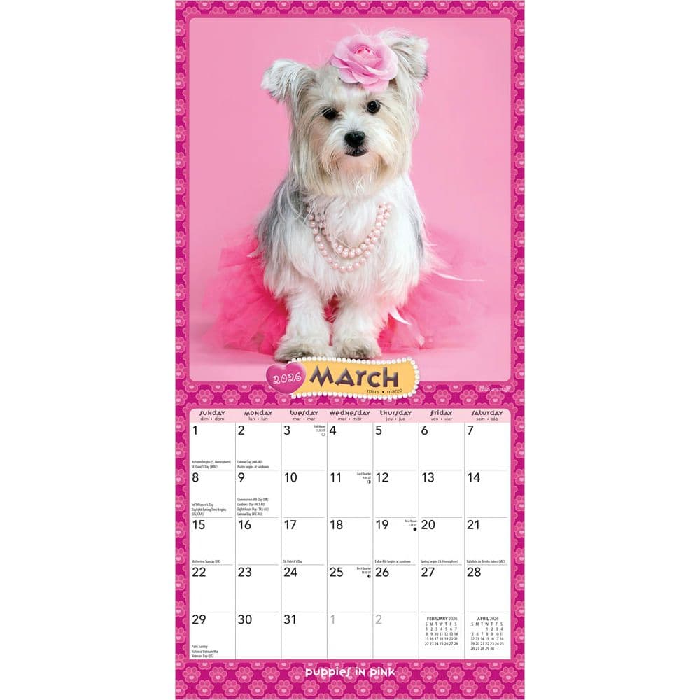 Puppies in Pink 2026 Mini Wall Calendar Second Alternate Image
