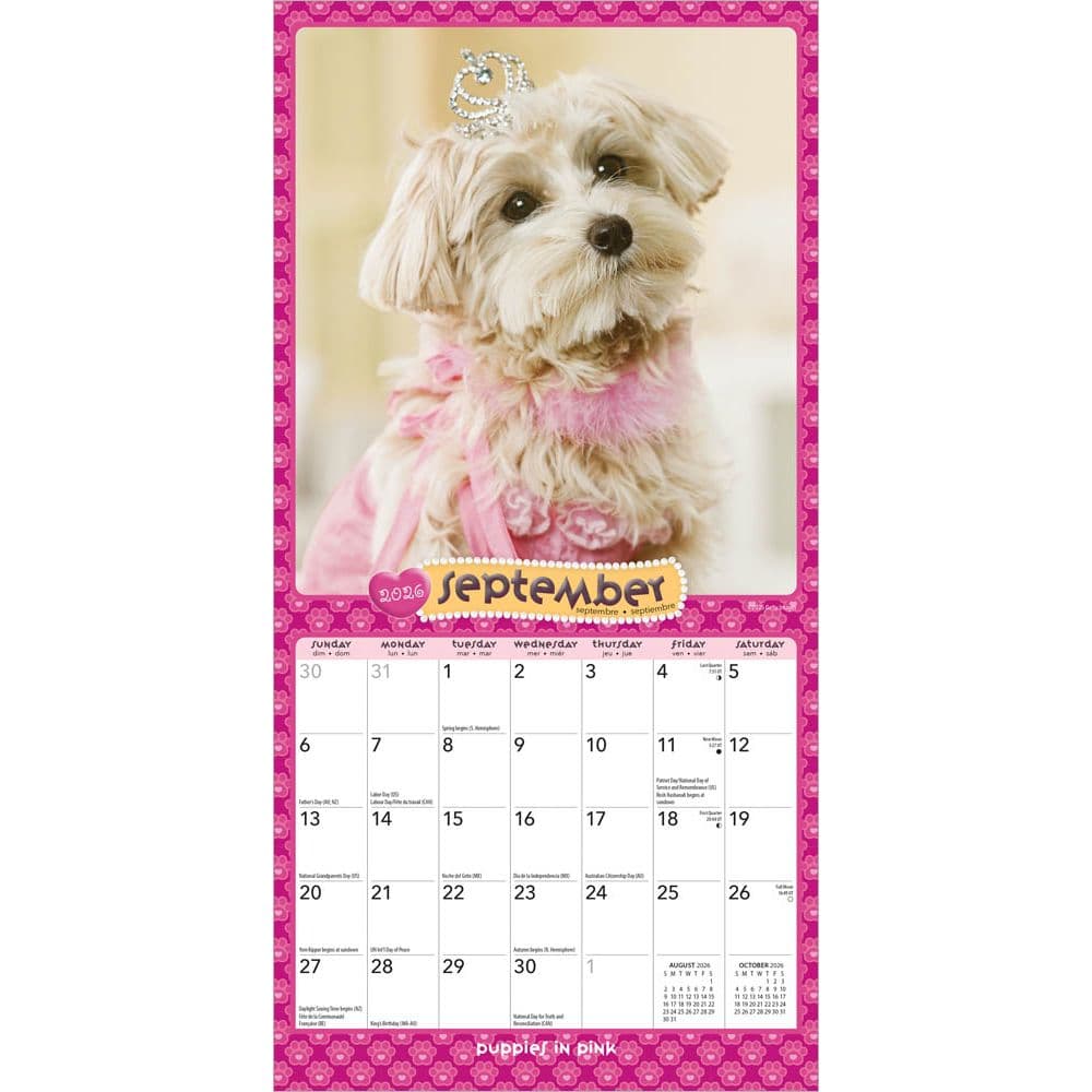 Puppies in Pink 2026 Mini Wall Calendar Third Alternate Image