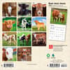 image Baby Moo Moos 2026 Mini Wall Calendar First Alternate Image