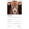 image Baby Moo Moos 2026 Mini Wall Calendar Second Alternate Image