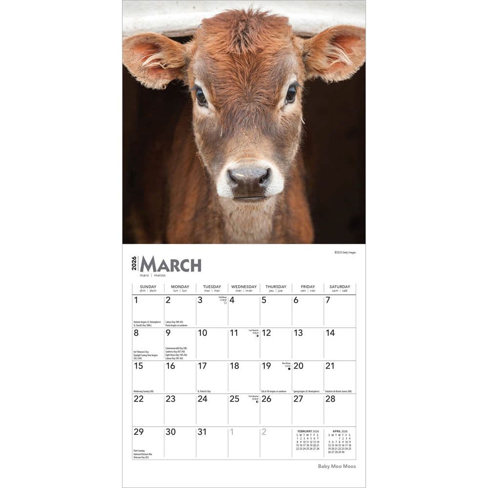 Baby Moo Moos 2026 Mini Wall Calendar Second Alternate Image
