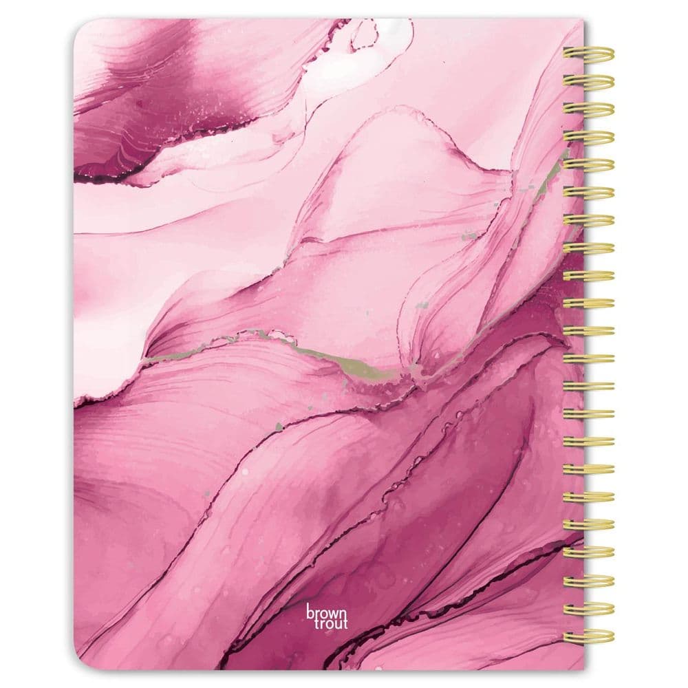 Crackled Blush Foil 2026 Planner First Alternate Image