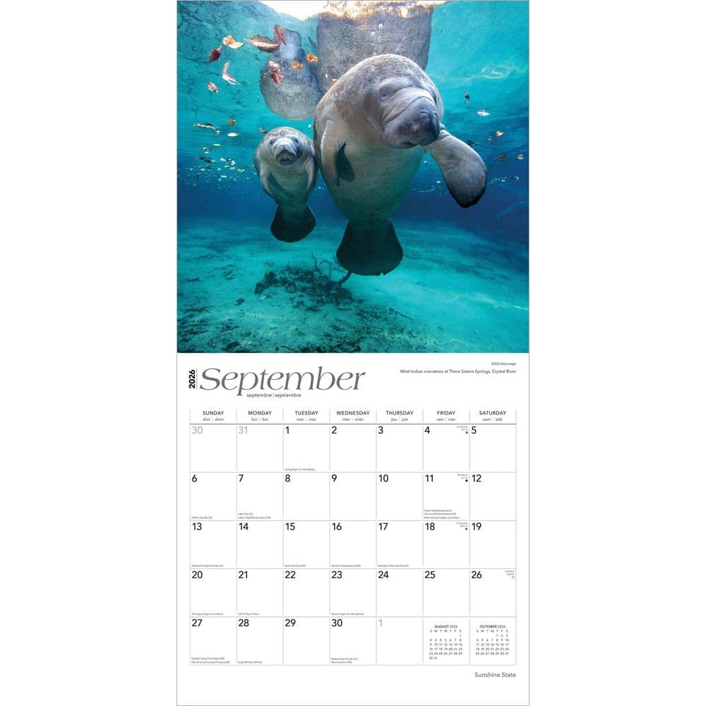  Third Alternate Image