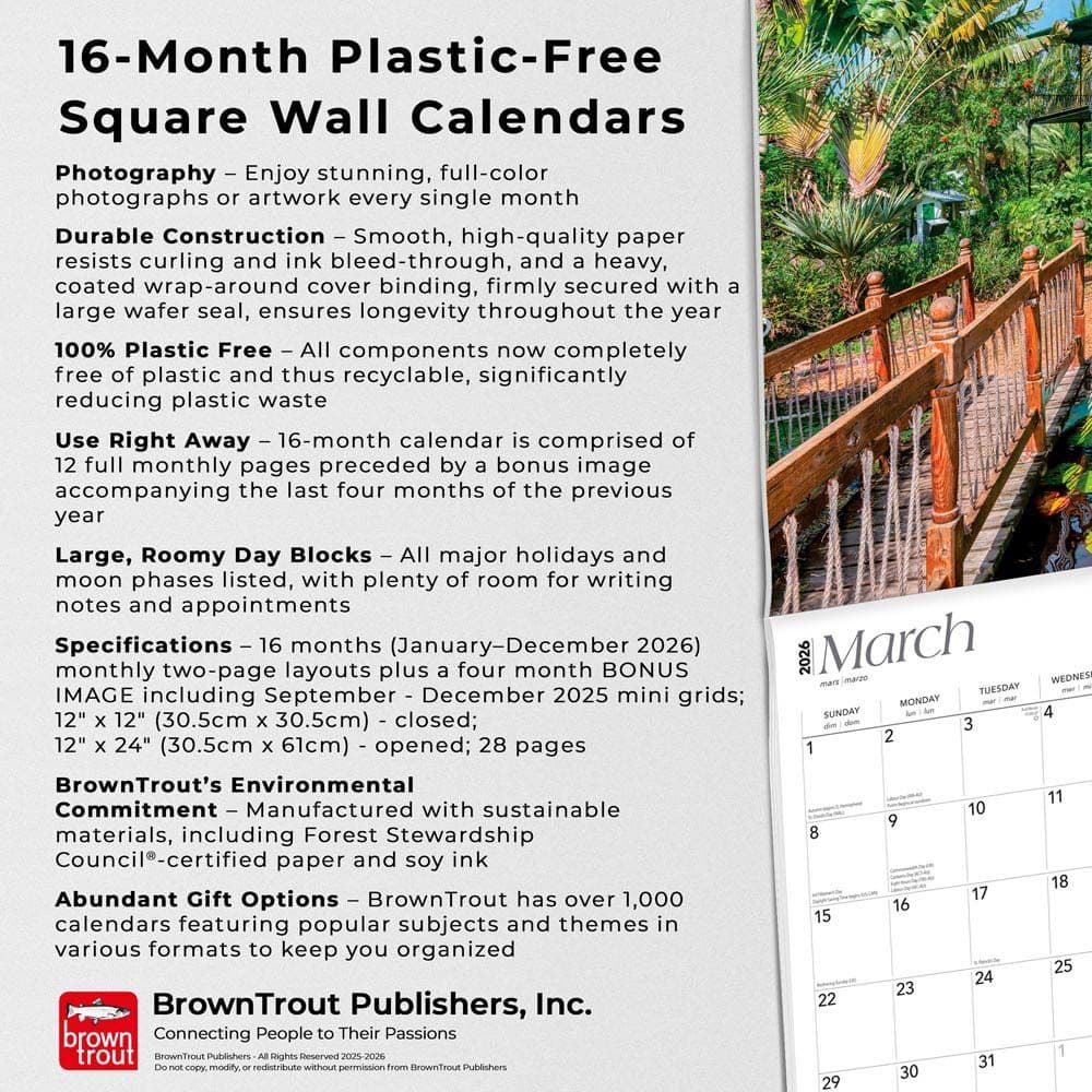  Fifth Alternate Image