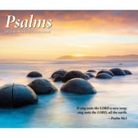 image  Main Product Image