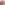 image  Main Product Image