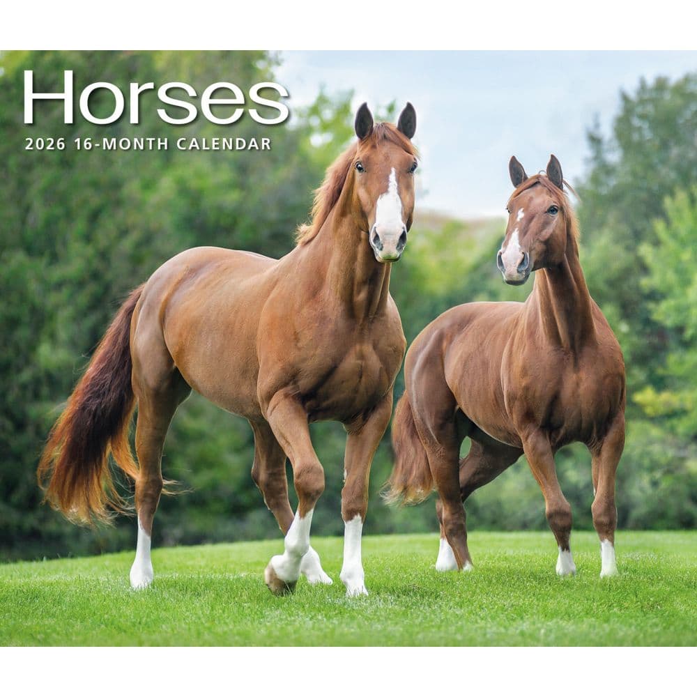 Horses 2026 Deluxe Wall Calendar - Calendars.com