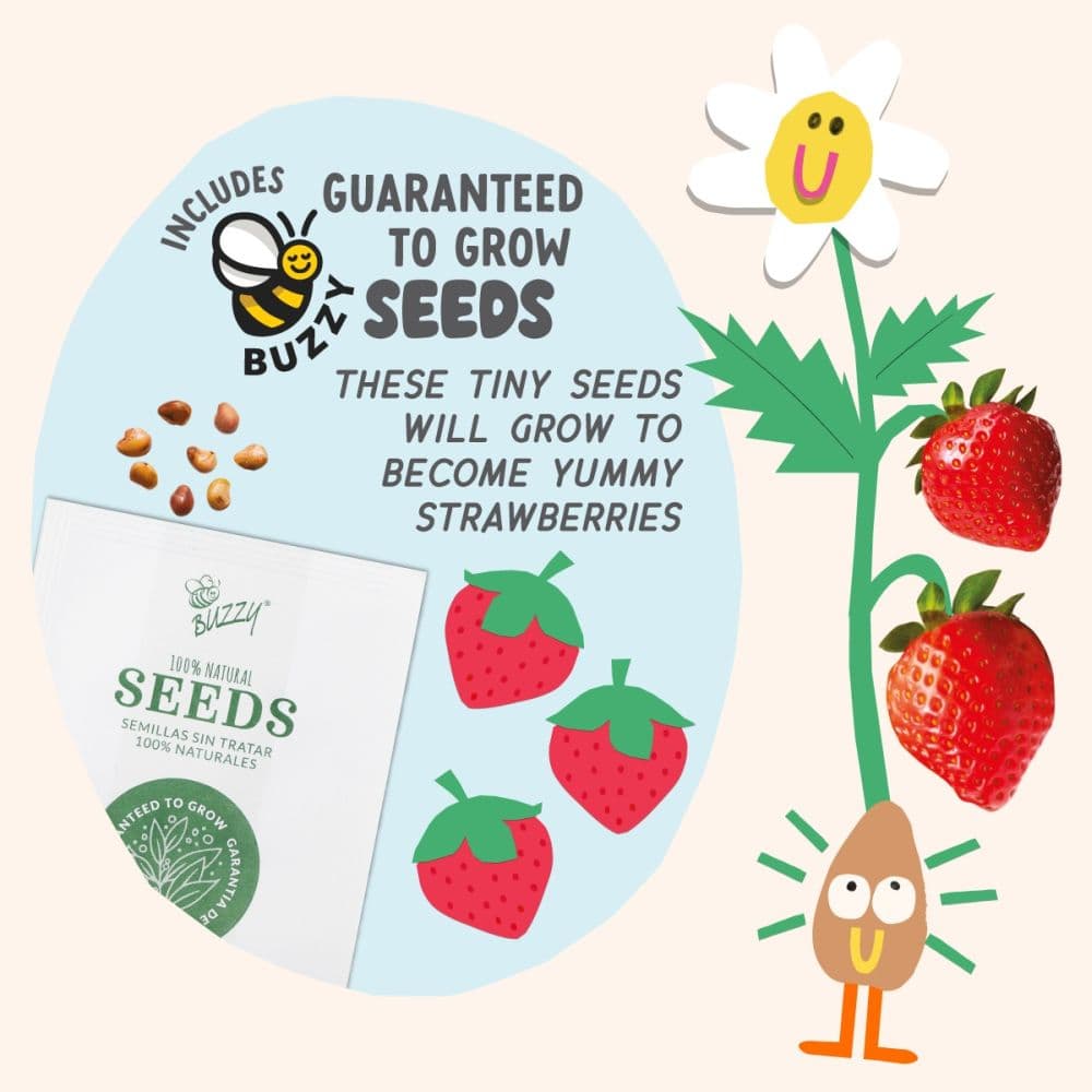 Paint &amp; Grow Strawberry Third Alternate Image