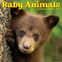 image Baby Animals 2026 Wall Calendar Main Image