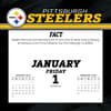 image NFL Pittsburgh Steelers 2027 Desk Calendar Second Alternate Image