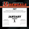 image NFL Cincinnati Bengals 2027 Desk Calendar Second Alternate Image