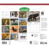 image WWF Wolves 2027 Wall Calendar First Alternate Image
