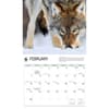 image WWF Wolves 2027 Wall Calendar Second Alternate Image