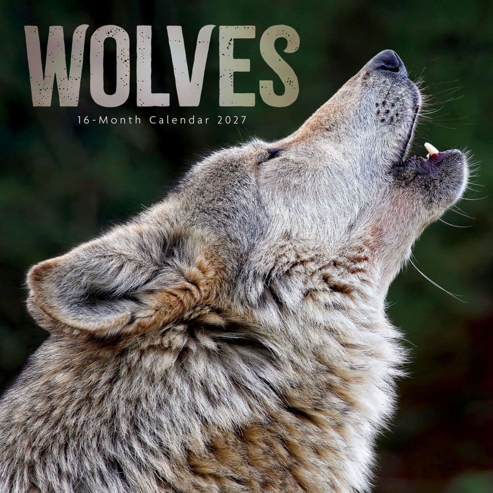 Wolves 2027 Wall Calendar Main Product Image