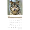 image Wolves 2027 Wall Calendar Third Alternate Image