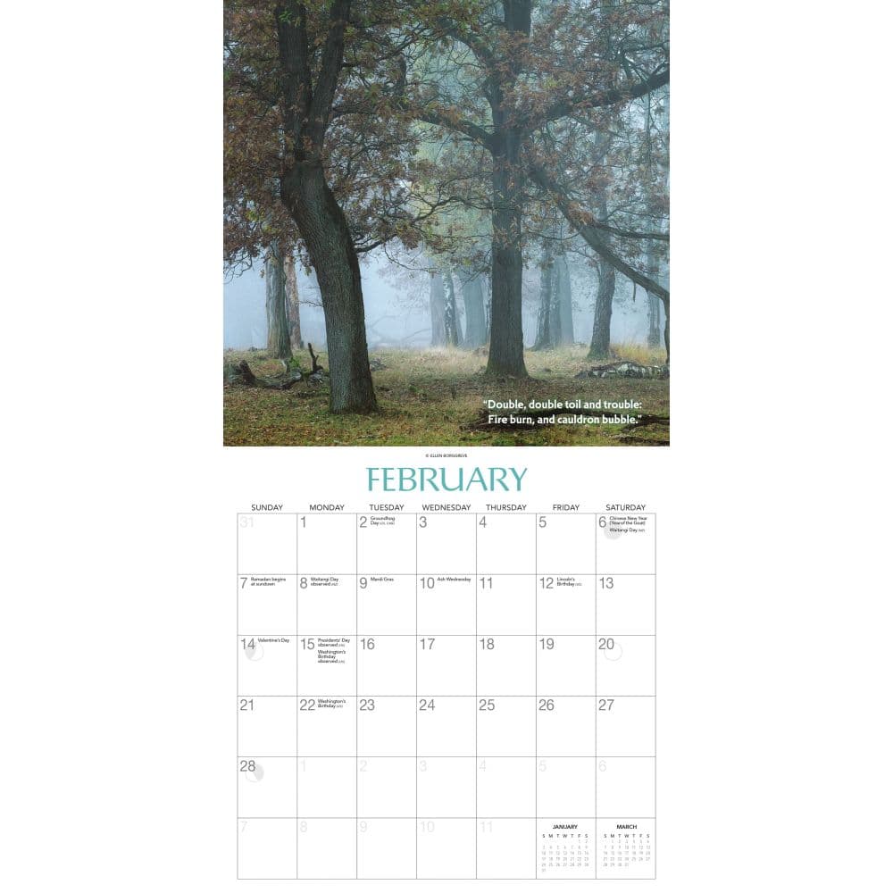 Witches Woods 2027 Wall Calendar Second Alternate Image