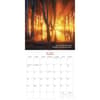 image Witches Woods 2027 Wall Calendar Third Alternate Image