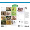 image WWF Wild Cats 2027 Wall Calendar First Alternate Image
