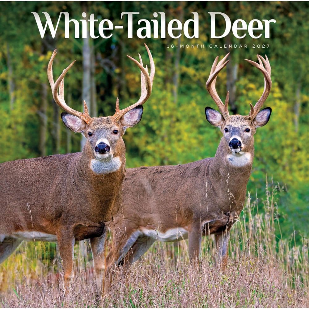 White Tailed Deer 2027 Wall Calendar Main Product Image