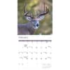 image White Tailed Deer 2027 Wall Calendar Second Alternate Image