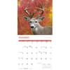 image White Tailed Deer 2027 Wall Calendar Fourth Alternate Image